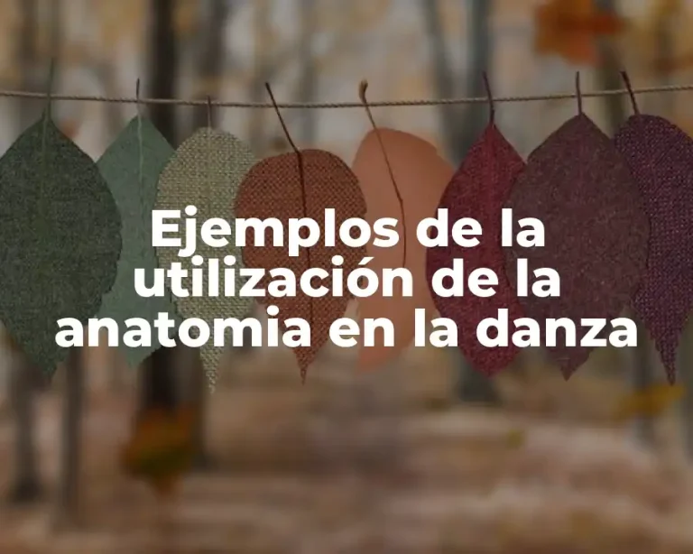 Ejemplos de la utilización de la anatomia en la danza