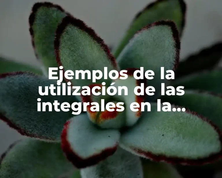 Ejemplos de la utilización de las integrales en la informática