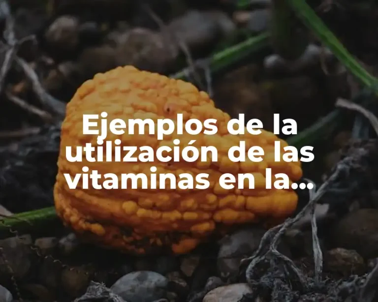 Ejemplos de la utilización de las vitaminas en la industria
