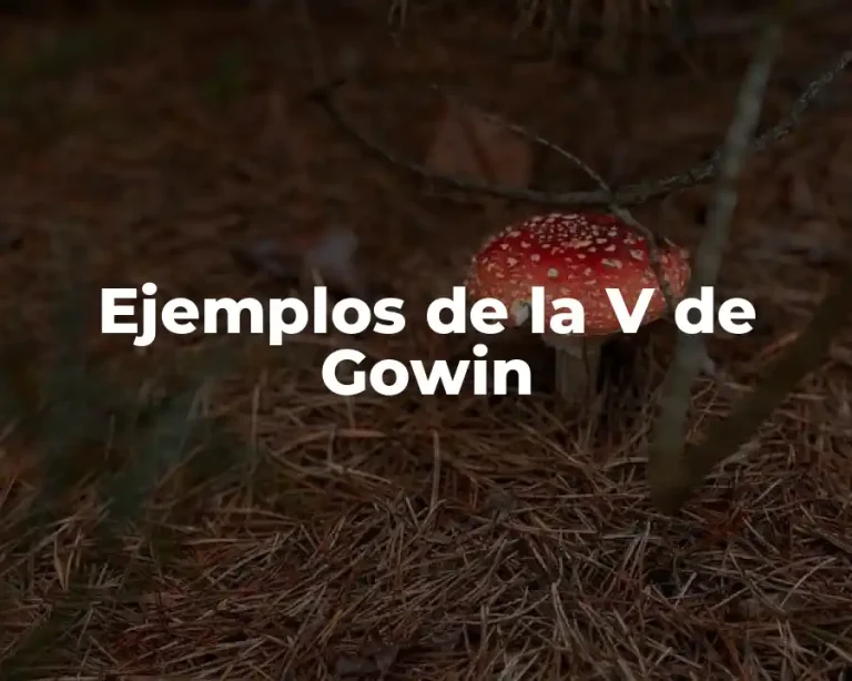 Ejemplos de la V de Gowin