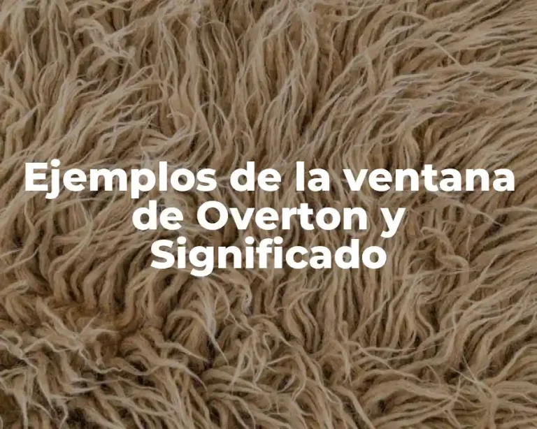 Ejemplos de la ventana de Overton y Significado