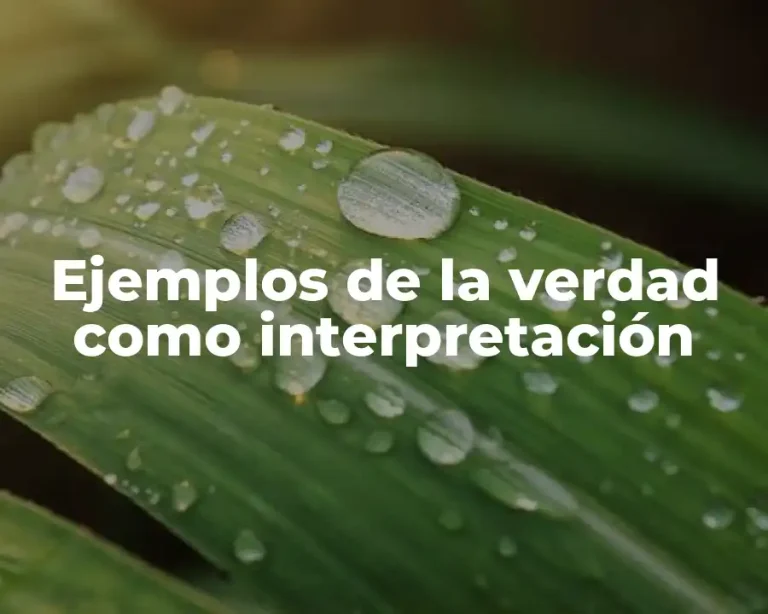 Ejemplos de la verdad como interpretación
