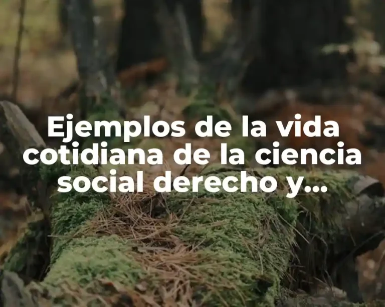 Ejemplos de la vida cotidiana de la ciencia social derecho y Significado