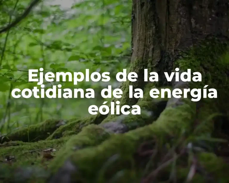 Ejemplos de la vida cotidiana de la energía eólica