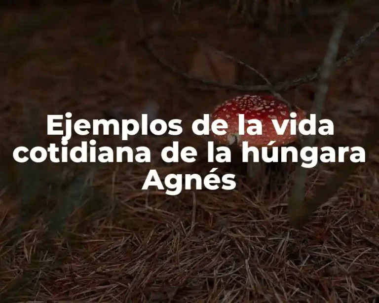 Ejemplos de la vida cotidiana de la húngara Agnés