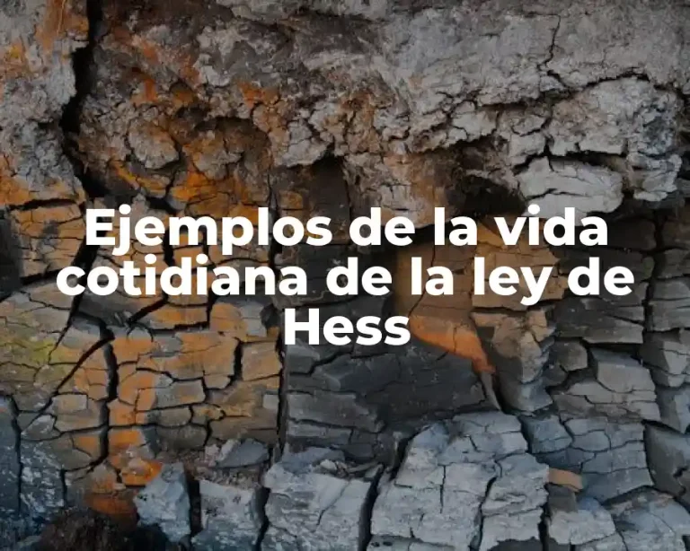Ejemplos de la vida cotidiana de la ley de Hess