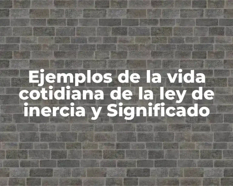 Ejemplos de la vida cotidiana de la ley de inercia y Significado