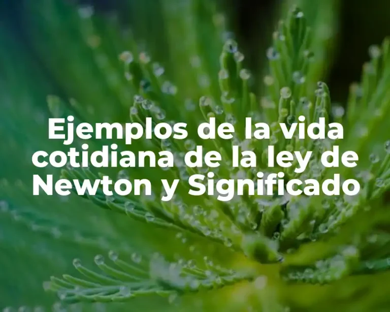 Ejemplos de la vida cotidiana de la ley de Newton y Significado