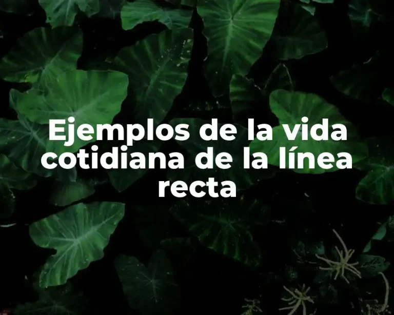 Ejemplos de la vida cotidiana de la línea recta
