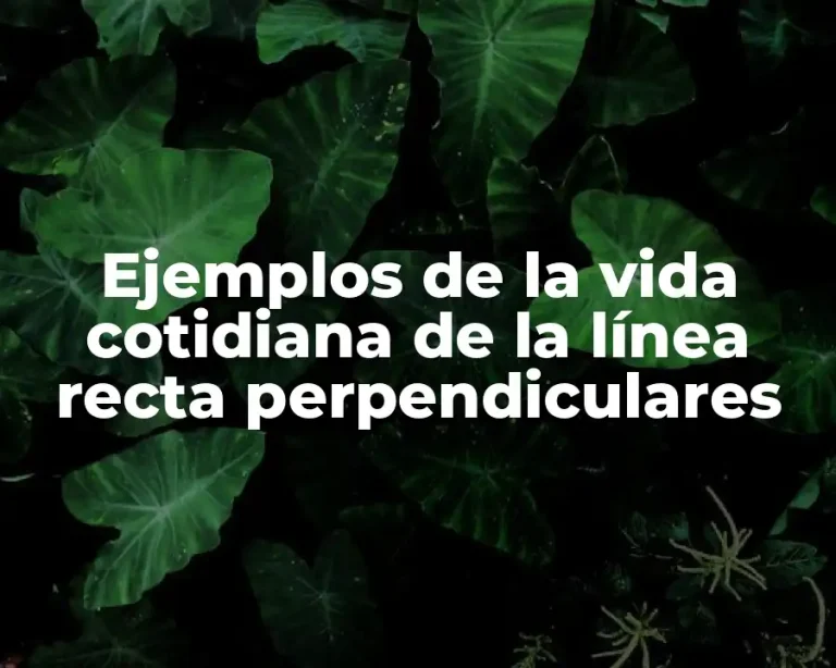Ejemplos de la vida cotidiana de la línea recta perpendiculares