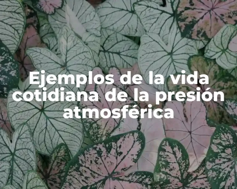 Ejemplos de la vida cotidiana de la presión atmosférica