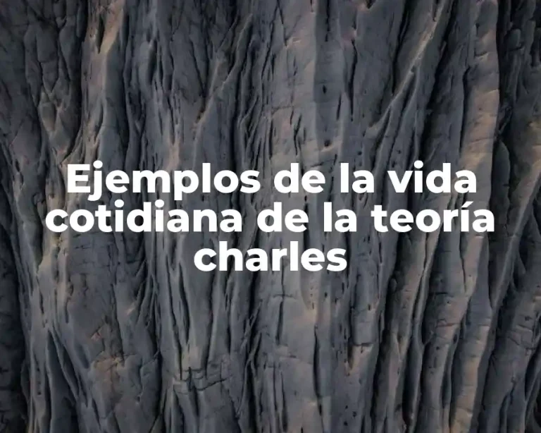 Ejemplos de la vida cotidiana de la teoría charles