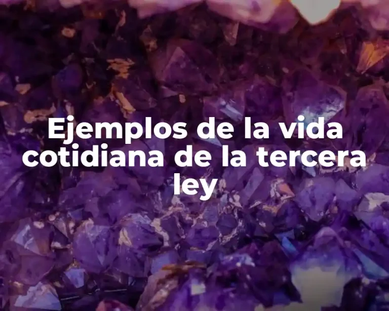 Ejemplos de la vida cotidiana de la tercera ley