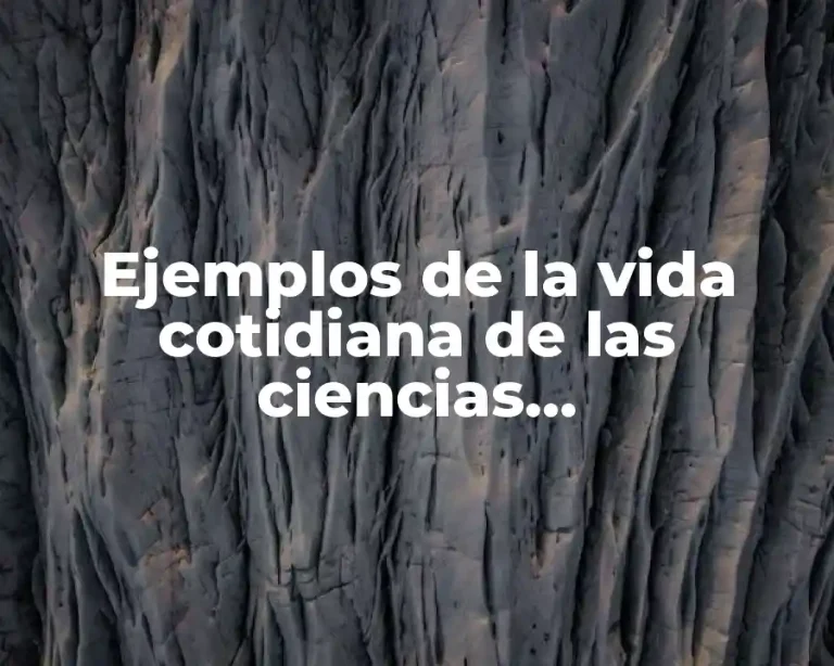Ejemplos de la vida cotidiana de las ciencias experimentales y Significado