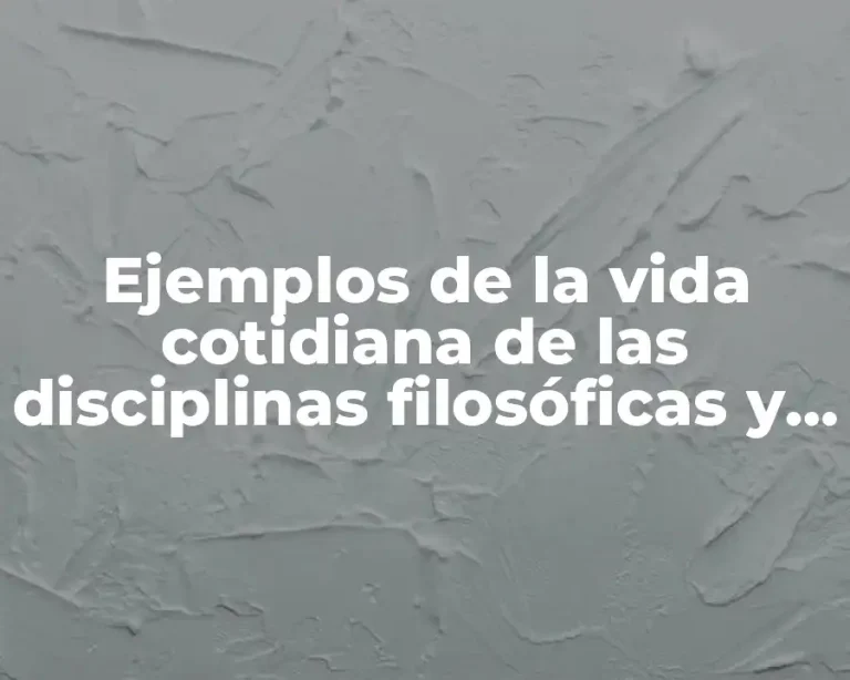 Ejemplos de la vida cotidiana de las disciplinas filosóficas y Significado