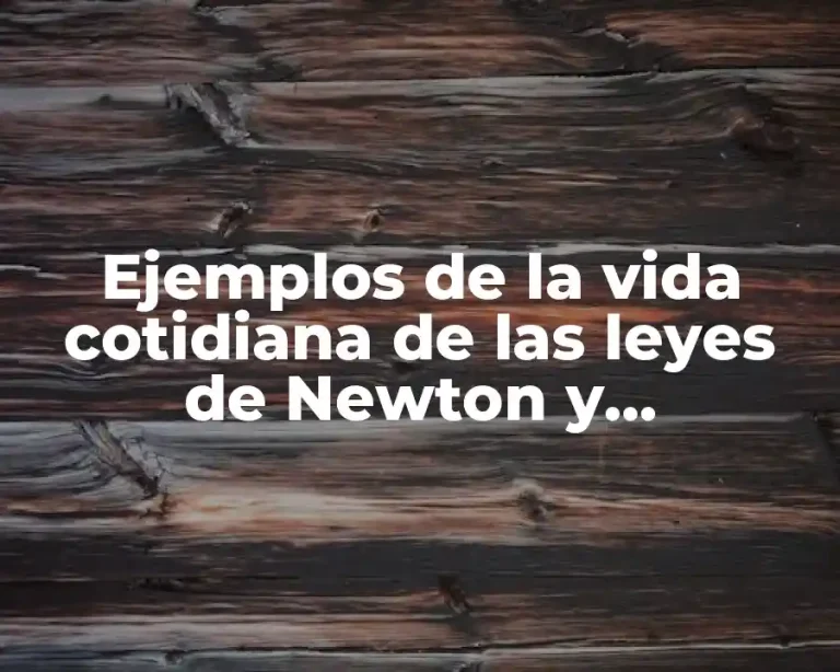 Ejemplos de la vida cotidiana de las leyes de Newton y Significado