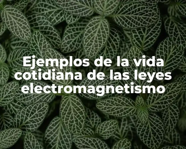 Ejemplos de la vida cotidiana de las leyes electromagnetismo