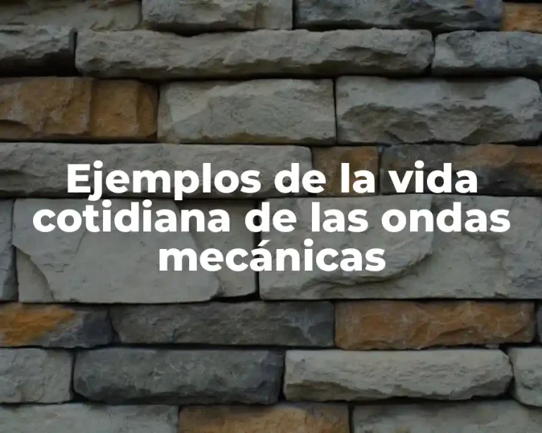 Ejemplos de la vida cotidiana de las ondas mecánicas