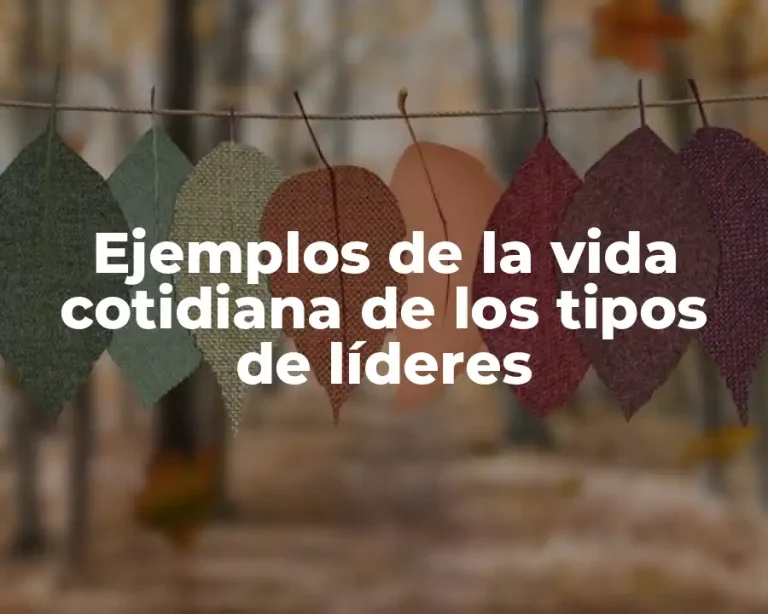 Ejemplos de la vida cotidiana de los tipos de líderes