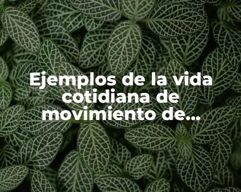 Ejemplos de la vida cotidiana de movimiento de velocidad