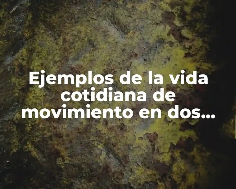 Ejemplos de la vida cotidiana de movimiento en dos dimensiones
