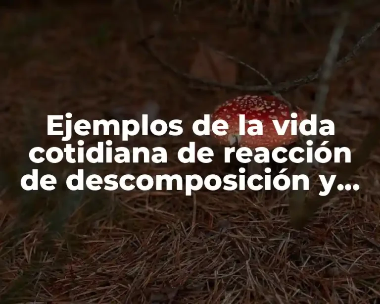 Ejemplos de la vida cotidiana de reacción de descomposición y Significado