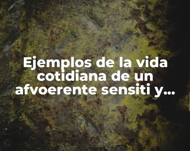 Ejemplos de la vida cotidiana de un afvoerente sensiti y Significado