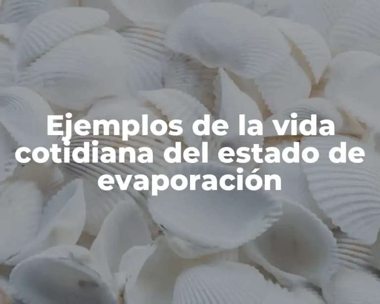 Ejemplos de la vida cotidiana del estado de evaporación