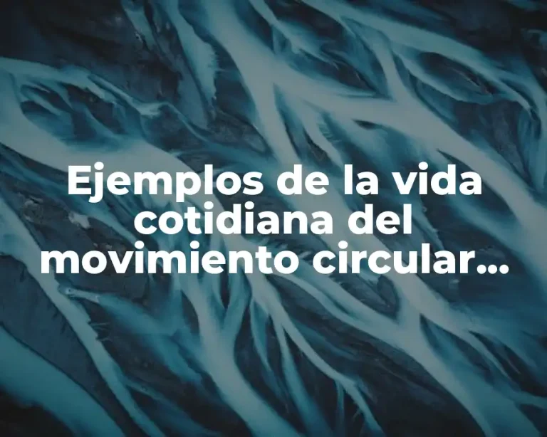 Ejemplos de la vida cotidiana del movimiento circular armónico