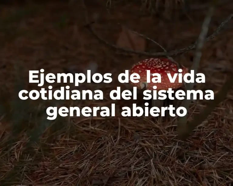 Ejemplos de la vida cotidiana del sistema general abierto