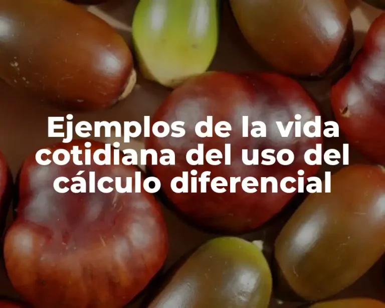 Ejemplos de la vida cotidiana del uso del cálculo diferencial