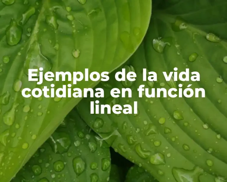 Ejemplos de la vida cotidiana en función lineal