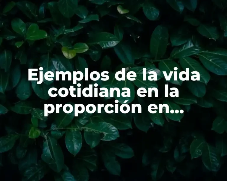 Ejemplos de la vida cotidiana en la proporción en matemáticas