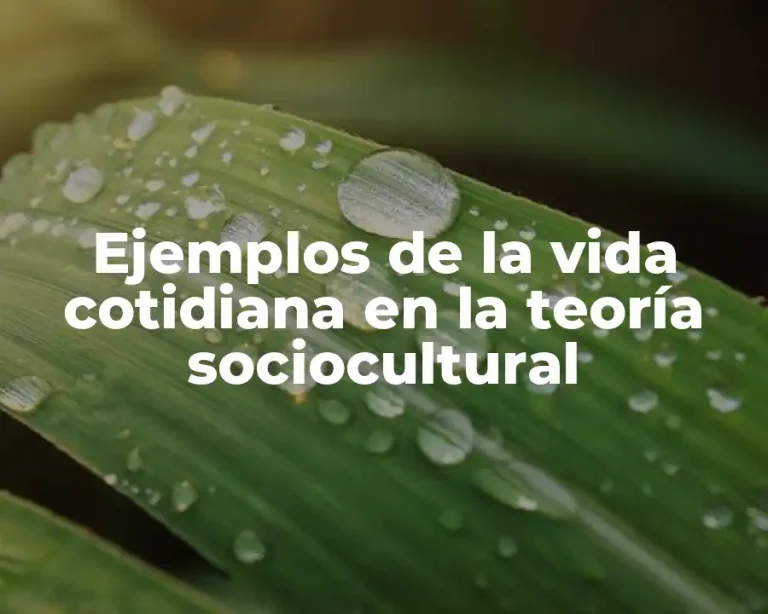 Ejemplos de la vida cotidiana en la teoría sociocultural
