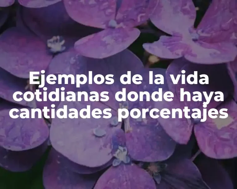 Ejemplos de la vida cotidianas donde haya cantidades porcentajes