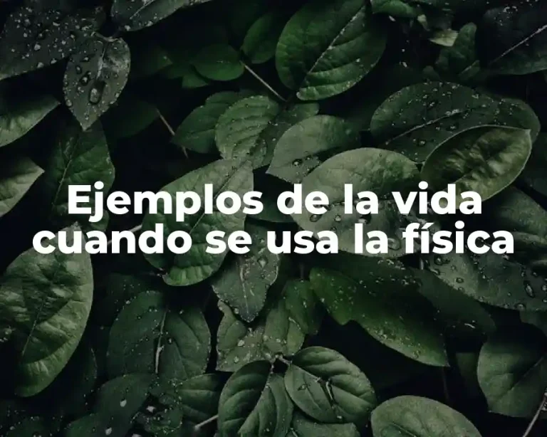 Ejemplos de la vida cuando se usa la física