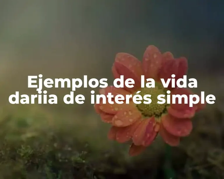Ejemplos de la vida dariia de interés simple