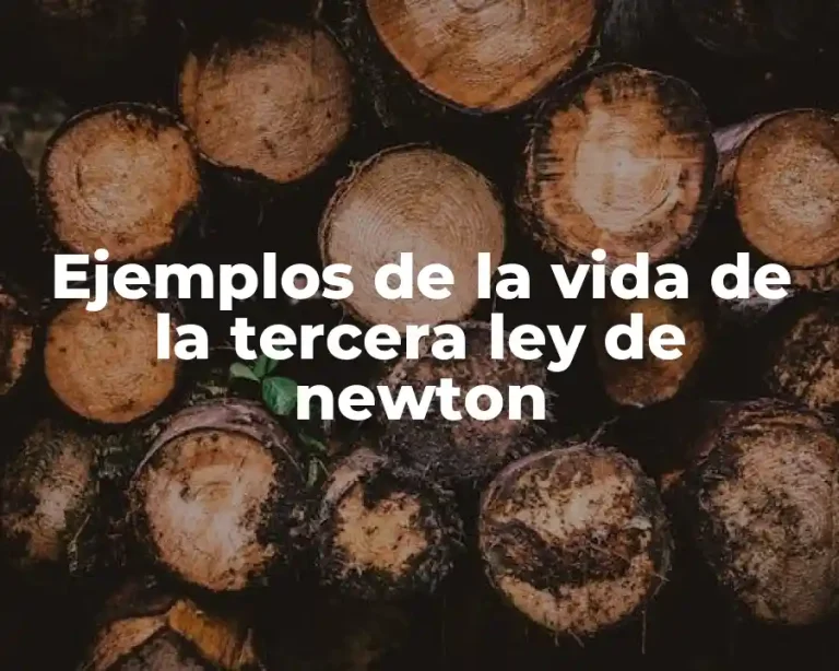 Ejemplos de la vida de la tercera ley de newton