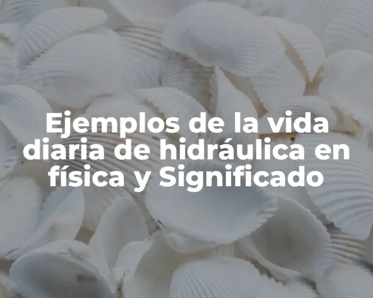 Ejemplos de la vida diaria de hidráulica en física y Significado