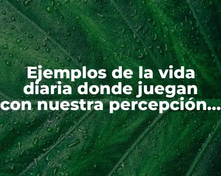 Ejemplos de la vida diaria donde juegan con nuestra percepción y Significado