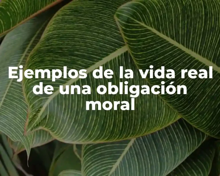Ejemplos de la vida real de una obligación moral