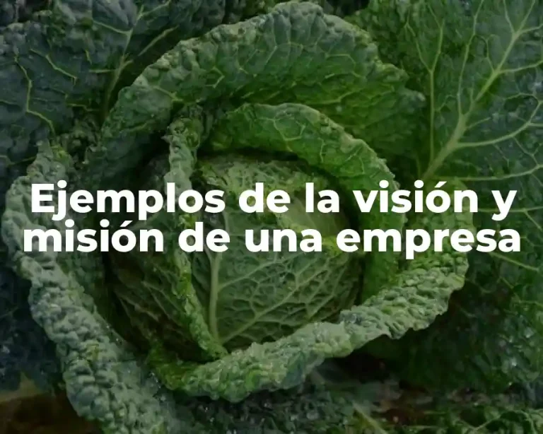 Ejemplos de la visión y misión de una empresa
