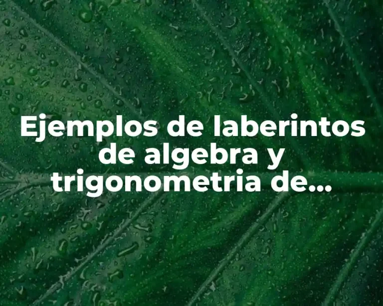 Ejemplos de laberintos de algebra y trigonometria de secundaria y Significado