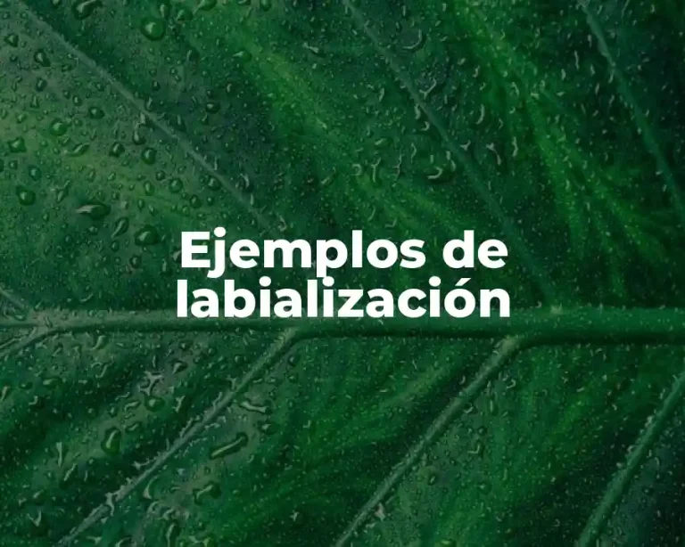 Ejemplos de labialización