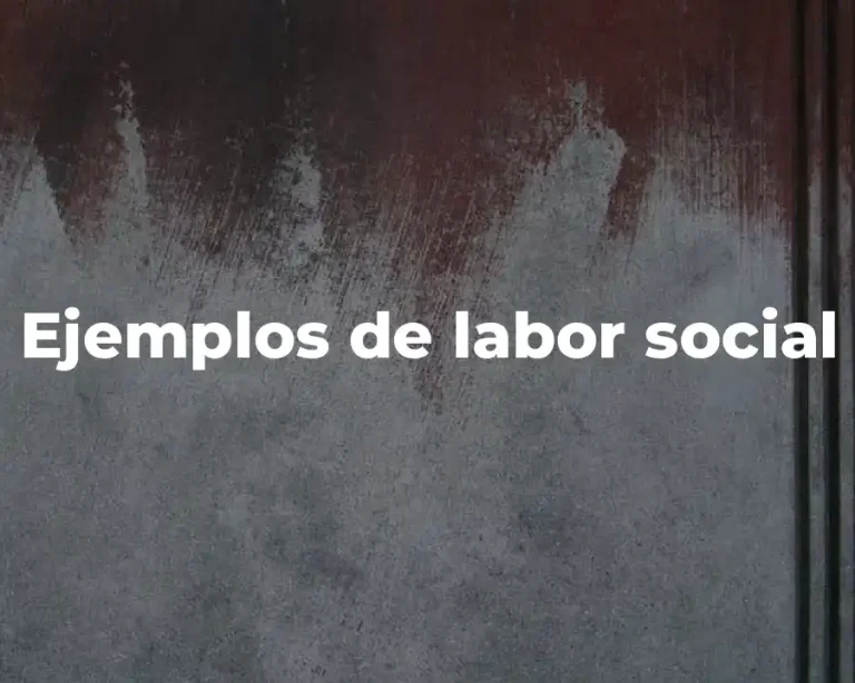 Ejemplos de labor social