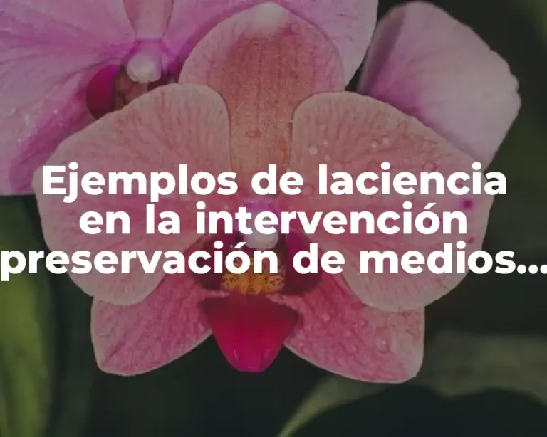 Ejemplos de laciencia en la intervención preservación de medios y Significado