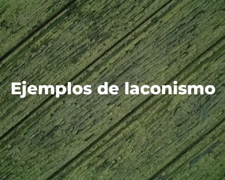 Ejemplos de laconismo