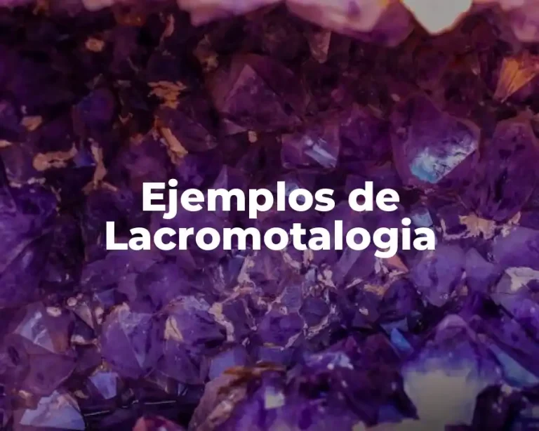 Ejemplos de Lacromotalogia