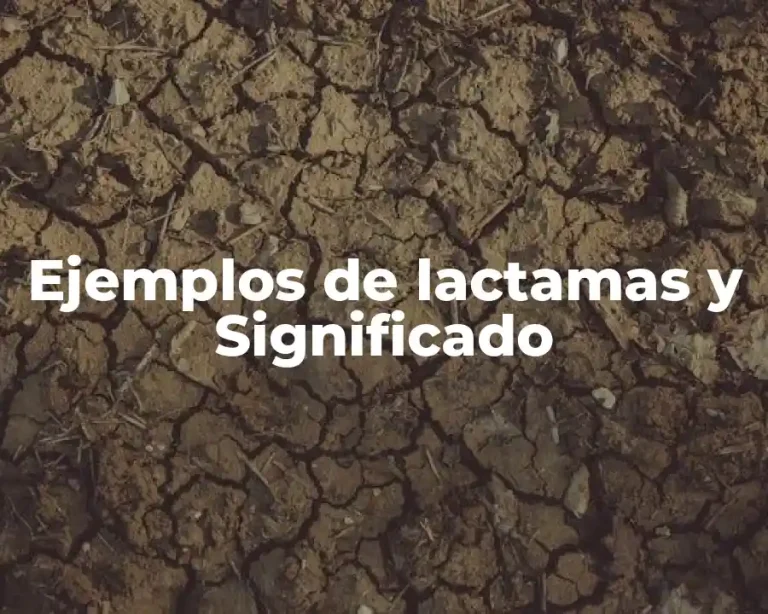 Ejemplos de lactamas y Significado