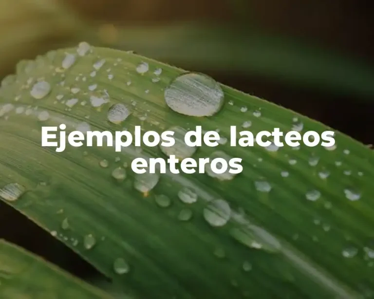 Ejemplos de lacteos enteros